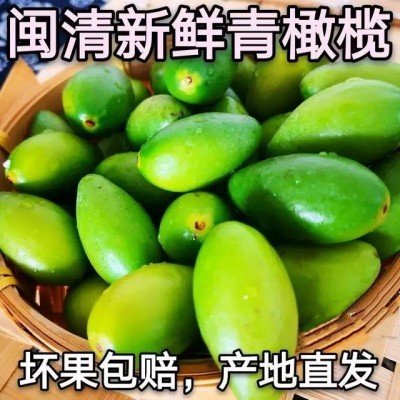 新鲜闽清青橄榄孕妇橄榄生吃橄榄回甘煲炖汤青果潮汕水果现摘现发图4