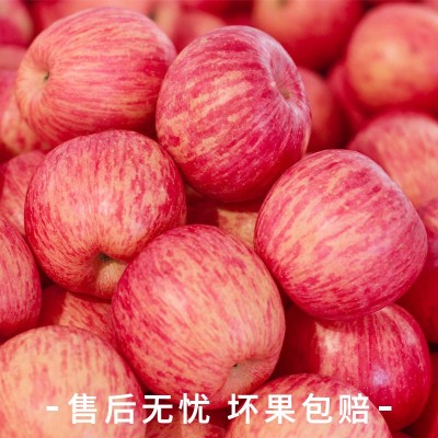 洛川苹果新鲜水果当季整箱10斤延安脆甜一级正宗陕西红富士包邮图4
