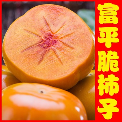 陕西富平巧克力脆柿子新鲜水果10斤脆甜硬柿子应季脆皮柿子甜脆柿图3