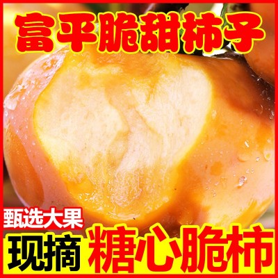 陕西富平巧克力脆柿子新鲜水果10斤脆甜硬柿子应季脆皮柿子甜脆柿图4
