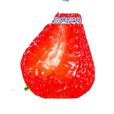 草莓大凉山牛奶莓露天奶油莓新鲜现摘批发商用烘焙礼盒网红款批发图4