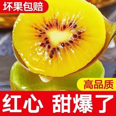 现摘红心猕猴桃 四川蒲江猕猴桃水果批发 新鲜奇异果应季弥核图3