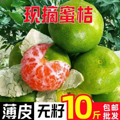 现摘蜜桔新鲜橘子宜昌蜜桔酸甜薄皮水果柑橘早熟青皮桔子批发图3