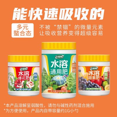 虹越花卉 花彩师水溶肥系列颗粒水溶性通用性肥爆花肥甜果肥450g图3