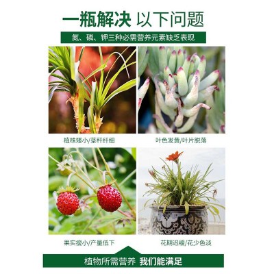 磷酸二氢钾厂家钾肥叶面肥磷肥农用全水溶贝可施国标有机代发批发图2