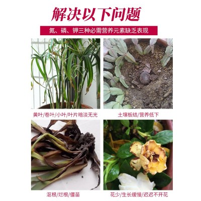 5斤三元复合肥水溶园艺颗粒缓释肥多元素氮磷钾肥贝可施批 发代发图4