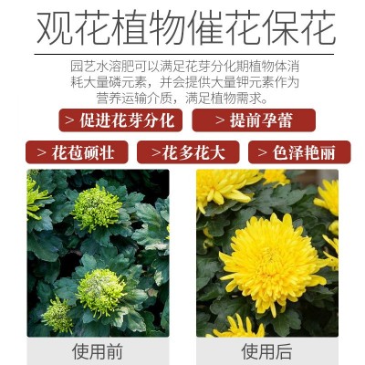 贝可施大量元素水溶肥料花肥磷酸二氢钾三元复合肥氮磷钾厂家批发图3