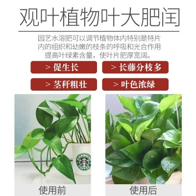 贝可施大量元素水溶肥料花肥磷酸二氢钾三元复合肥氮磷钾厂家批发图4