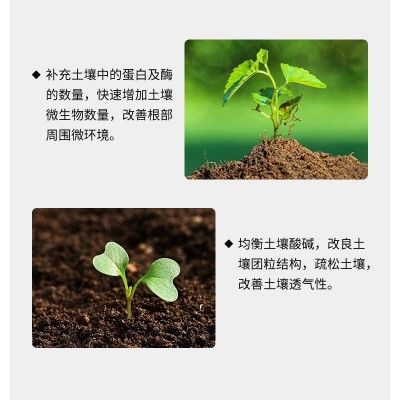 鱼蛋白海藻精钾桶装水溶肥冲施肥果树蔬菜柑橘生根壮苗膨果树有机图5