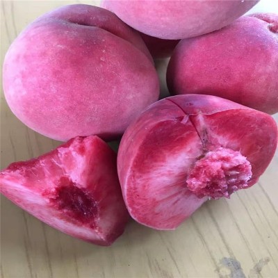 秋彤桃树苗脆甜可口个大味美易管理桃树苗全国供应高品质桃树苗图3