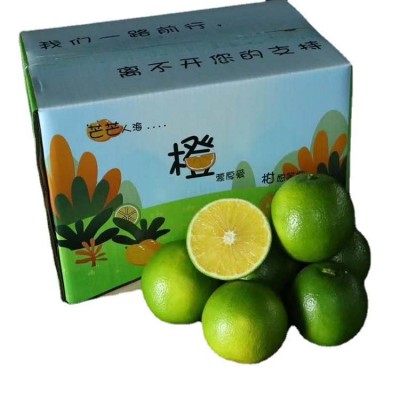 产地直发 云南冰糖橙9斤整箱新鲜橙子手剥当季甜橙孕妇吃水果批发图5