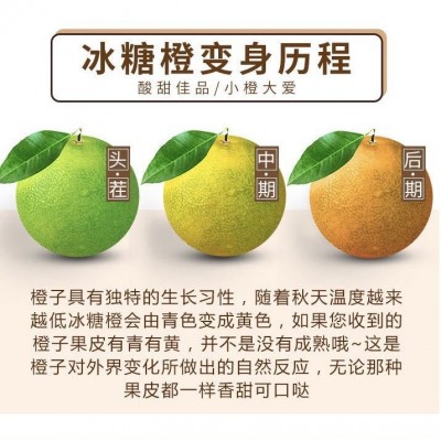 产地直发 云南冰糖橙9斤整箱新鲜橙子手剥当季甜橙孕妇吃水果批发图4