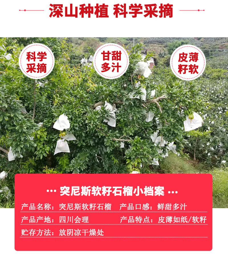 5_副本