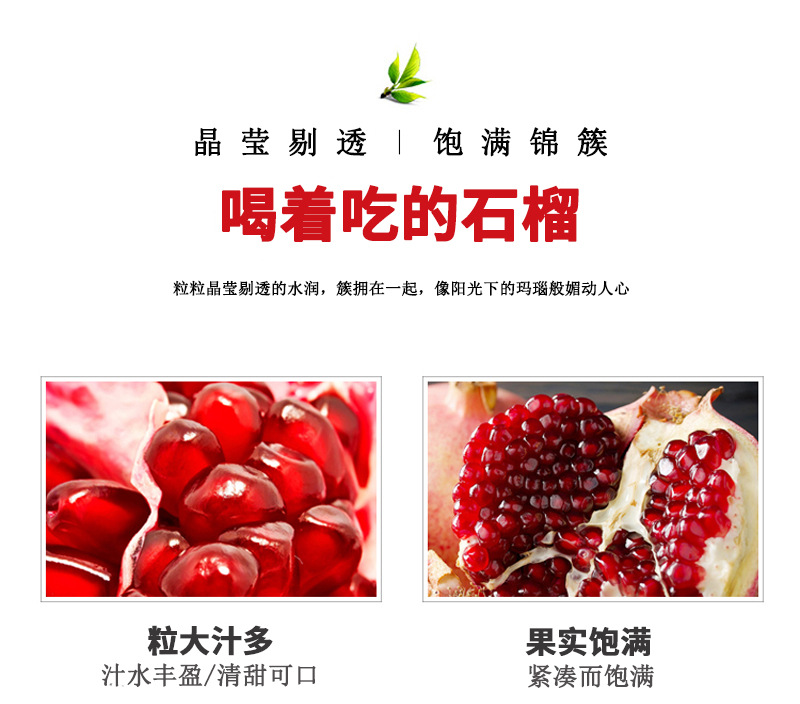 2_副本
