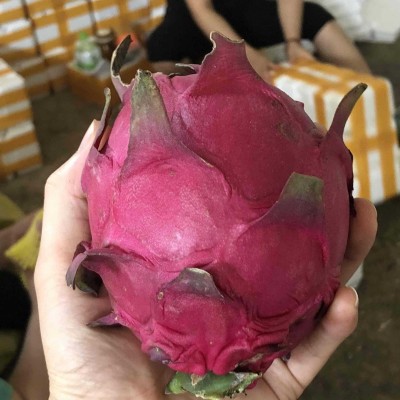 广西红心火龙果新鲜当季水果红肉金都一号蜜宝皮薄多汁整箱包邮图2