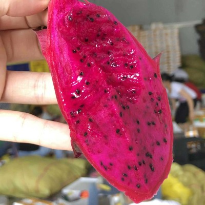 广西红心火龙果新鲜当季水果红肉金都一号蜜宝皮薄多汁整箱包邮图4