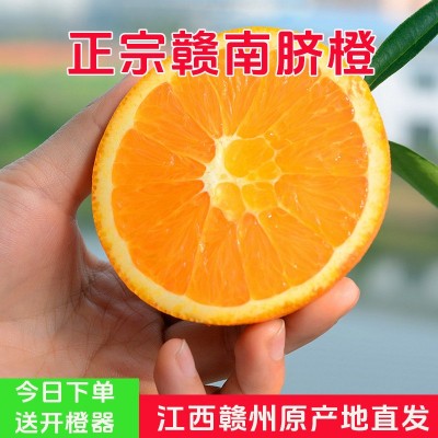【赣州果园直发】江西赣南脐橙批发一件代发孕妇小孩精选甜橙水果图2