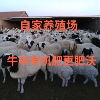 肥料羊粪发酵有机肥鸡粪肥种蔬菜花卉盆栽通用营养土复合农家肥料图2