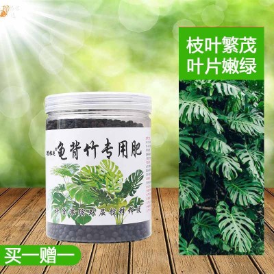 龟背竹专用肥有机复合肥料盆栽室内大叶开背植物生根营养土营养液图3