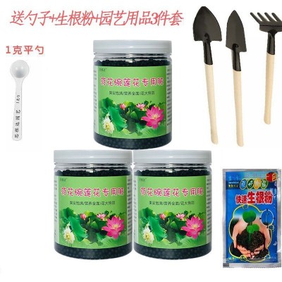 碗莲睡莲专用肥料水培荷花肥家庭用养花有机肥复合肥料营养液通用图3