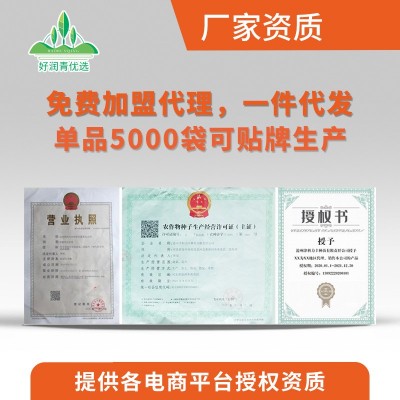 长丝瓜种子春夏秋季庭院爬藤香丝瓜籽批发香嫩肉丝瓜菜籽菜种子孑图3