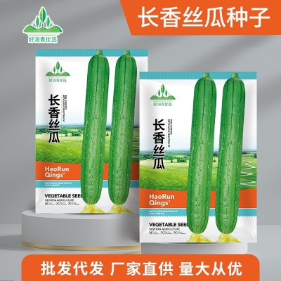 长丝瓜种子春夏秋季庭院爬藤香丝瓜籽批发香嫩肉丝瓜菜籽菜种子孑图2