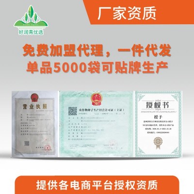 草莓水果番茄种子酸甜东北铁皮柿子绿肩西红柿种籽春季四季盆栽种图3