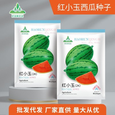 红小玉2K西瓜种子早春红玉礼品盆栽小西瓜种籽手扒皮四季早熟红心图3