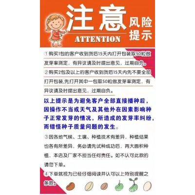 蔬菜种子批发 南畔洲/九斤萝卜长白萝卜小面积种家庭阳台种植10克图4