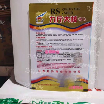 蔬菜种子批发 南畔洲/九斤萝卜长白萝卜小面积种家庭阳台种植10克图2