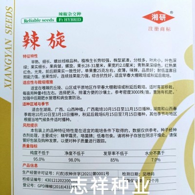湘研辣旋辣椒种子螺丝线椒种子 皮薄味辣细长 早熟螺丝椒种耐低温图3
