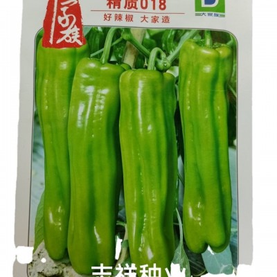 大家族精质018大果薄皮椒辣椒种子微辣 黄皮泡椒春秋季种大田蔬菜图5