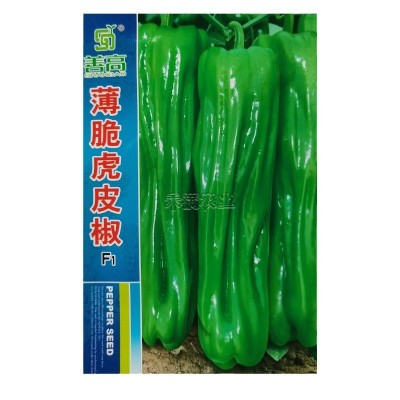 辣椒种籽大全薄皮辣椒种子虎皮椒种子小米辣椒种孑朝天椒线椒种子图5