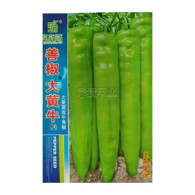 大黄牛大果黄皮牛角椒种籽辣椒种子大全椒种籽四季蔬菜种籽辣椒种图5