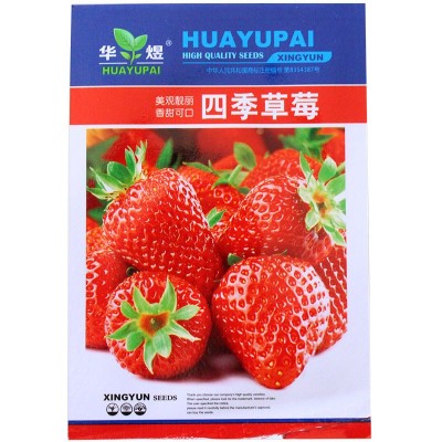 草莓种子四季播种室内阳台盆栽水果农家蔬菜种子秋冬菜籽草莓籽种图4