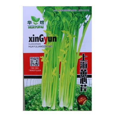 上海黄心芹芹菜种子 农田菜园实心纤维少脆嫩芹菜蔬菜籽图4