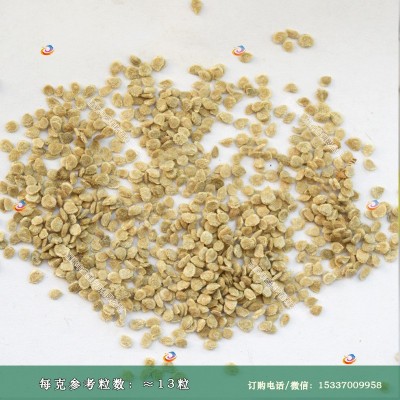 樱桃西红柿种子圣女果种子可作水果食用观赏图4