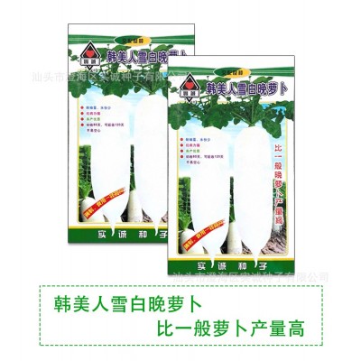 广东实诚蔬菜种子韩美人雪白晚萝卜种籽菜园基地甜白萝卜菜籽批发图4