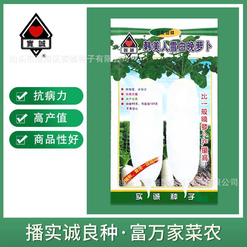 实诚主图4