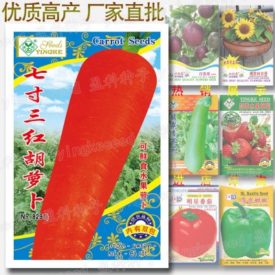 约1400粒七寸三红胡萝卜种子 水果红萝卜蔬菜种子批发 可鲜食丁香图1