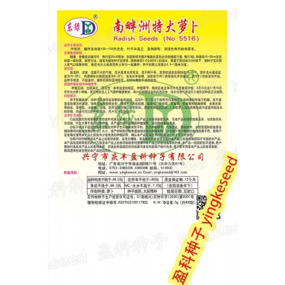 南畔洲特大萝卜种籽 约400粒 九斤王白罗卜 春不老迟萝卜种子批发图3
