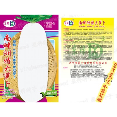 南畔洲特大萝卜种籽 约400粒 九斤王白罗卜 春不老迟萝卜种子批发图4