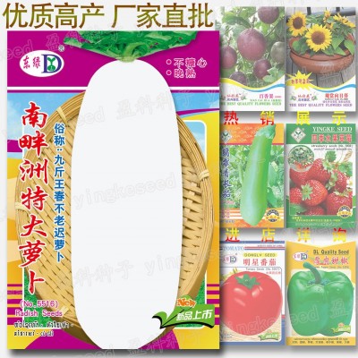 南畔洲特大萝卜种籽 约400粒 九斤王白罗卜 春不老迟萝卜种子批发图1