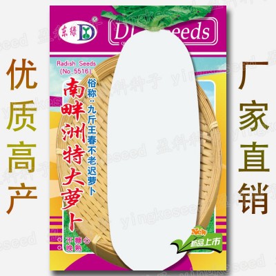 南畔洲特大萝卜种籽 约400粒 九斤王白罗卜 春不老迟萝卜种子批发图2