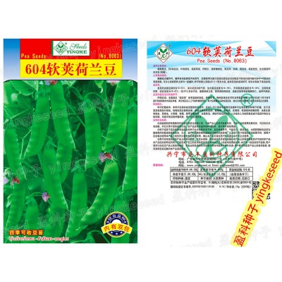 604软荚荷兰豆种籽 15克 爽口 紫花红花豌豆 四季 芽苗菜种子批发图4