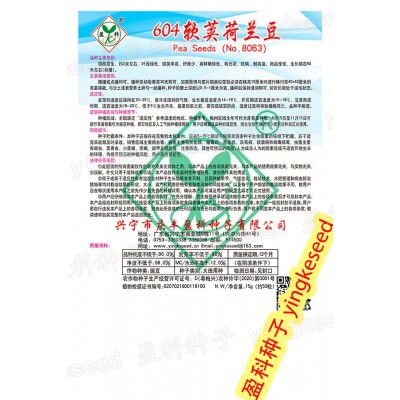 604软荚荷兰豆种籽 15克 爽口 紫花红花豌豆 四季 芽苗菜种子批发图3