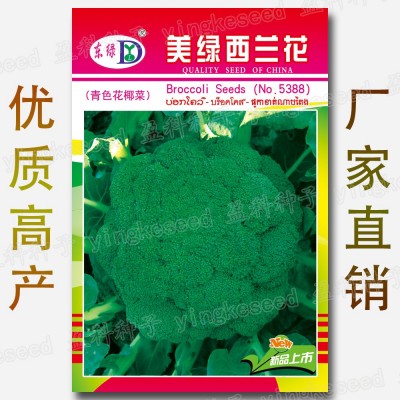 美绿西兰花种子 约300粒 青花菜紧花菜西蓝花椰菜籽 蔬菜种子批发图2