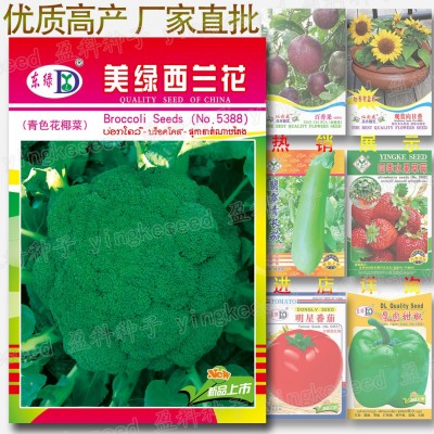 美绿西兰花种子 约300粒 青花菜紧花菜西蓝花椰菜籽 蔬菜种子批发图1