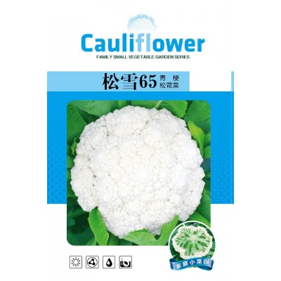 松雪65天花菜种子青梗白色有机花椰菜高产耐寒耐湿易种花菜种子图3
