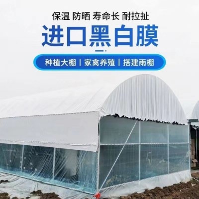 特厚抗老化黑白膜养殖食用菌大棚膜农用青储遮阳防晒隔热膜图2
